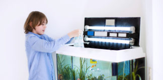 Precauzioni per pulire un acquario 1164 0 Precauzioni per pulire un acquario_ok